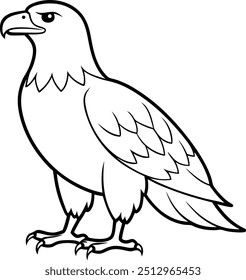 Eagle line art vector illustration in wild bird