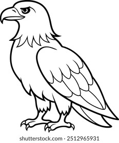 Eagle line art vector illustration majestic winged bird