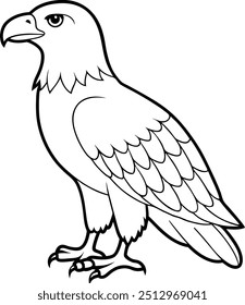 Eagle line art vector illustration outlined silhouette