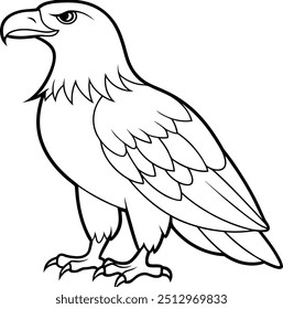 Eagle line art vector illustration in vector format