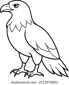 Eagle line art vector illustration in falconry design