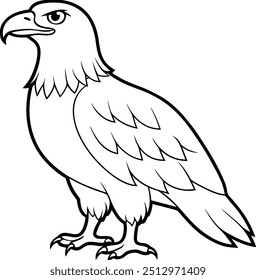 Eagle line art vector illustration bald eagle focus