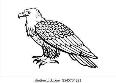 Eagle Line Art Vector Illustration
