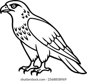 Eagle Line Art Vector illustration for Kids Coloring Book