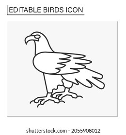 Eagle line icon. Bird of prey with large, hiked beak, powerful talons, and strong legs.Birds concept. Isolated vector illustration. Editable stroke