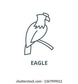 Eagle line icon, vector. Eagle outline sign, concept symbol, flat illustration