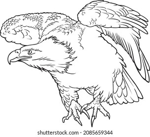 eagle line vector illustration isolated on white background