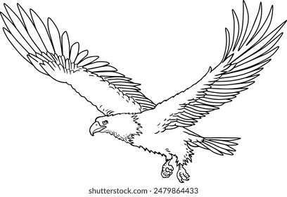 eagle  line vector illustration isolated on white background