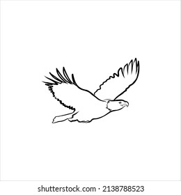 Eagle linear vector hand drawing illustration isolated on white background,  vector illustration. Eagle flying icon
