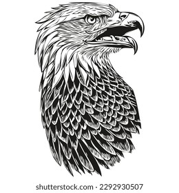 eagle logo  black   white illustration hand drawing bird
