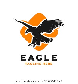Eagle logo and box design