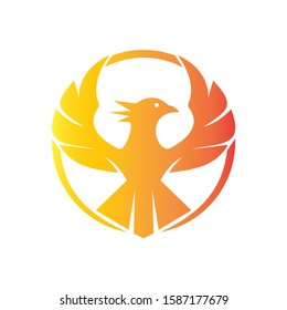 Eagle logo circle design vector. Birds logo concept vector template