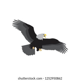 eagle logo design