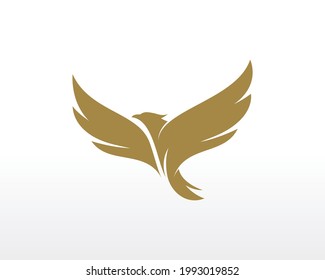 Eagle Logo design. Fly Eagle Logo design vector inspiration