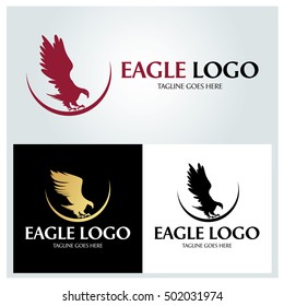 Eagle Logo design template ,Vector illustration