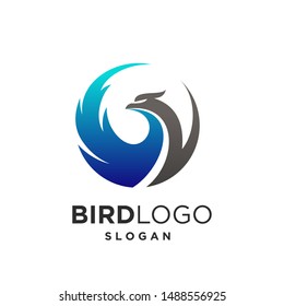 Eagle logo Design templates. Bird logo vector. eagle logo illustration