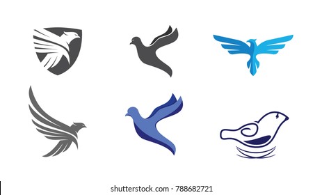 Eagle Logo Design Vector Collection