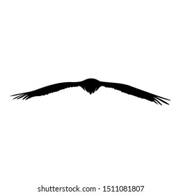 Eagle logo design vector. Eagle logo template illustration
