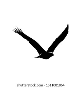 Eagle logo design vector. Eagle logo template illustration
