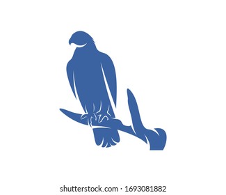 Eagle Logo Design Vector Template