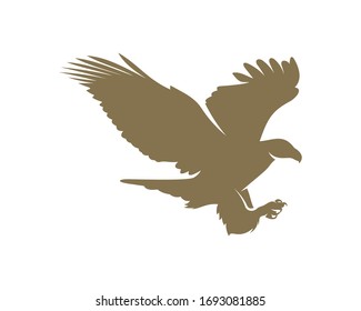 Eagle Logo Design Vector Template