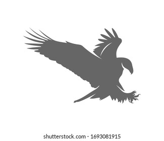 Eagle Logo Design Vector Template