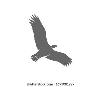 Eagle Logo Design Vector Template