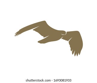 Eagle Logo Design Vector Template