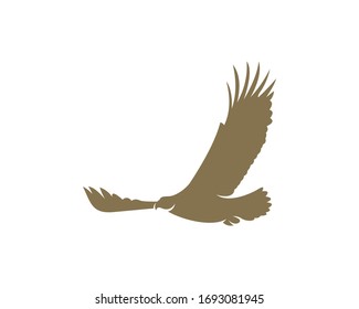 Eagle Logo Design Vector Template
