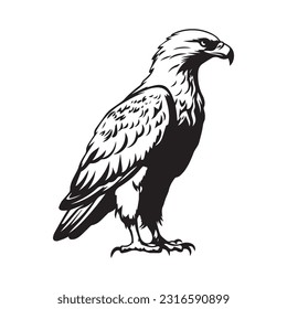 Eagle Logo Design Vector Template