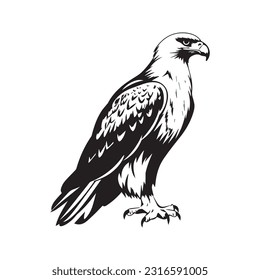 Eagle Logo Design Vector Template