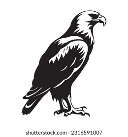 Eagle Logo Design Vector Template