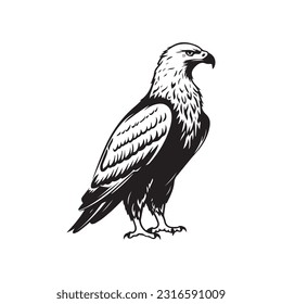 Eagle Logo Design Vector Template