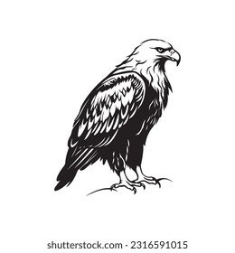 Eagle Logo Design Vector Template