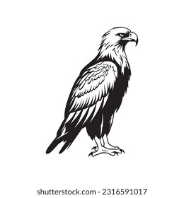 Eagle Logo Design Vector Template