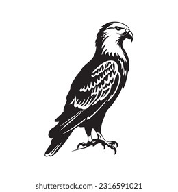 Eagle Logo Design Vector Template