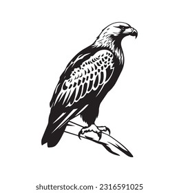Eagle Logo Design Vector Template