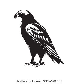 Eagle Logo Design Vector Template