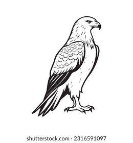 Eagle Logo Design Vector Template