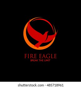 Eagle Logo design vector template. Creative Wild Bird logo. Vector Illustration