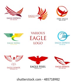 Eagle Logo design vector template. Creative Wild Bird logo. Vector Illustration