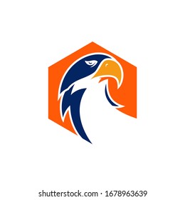 Eagle logo with hexagon concept design vector