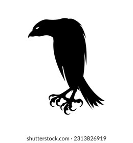 Eagle logo icon vector illustration