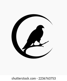 eagle logo. Isolated eagle on white background. Vector illustration