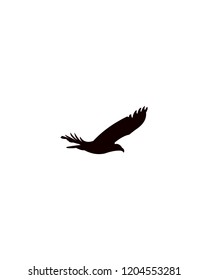 Eagle Logo Template