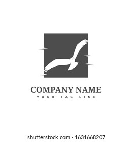 Eagle logo template design with square background. Vector Eps 10