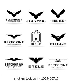 Eagle logo vector design, falcon logotype template, hawk illustration