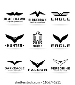 Eagle logo vector design, falcon logotype template, hawk illustration