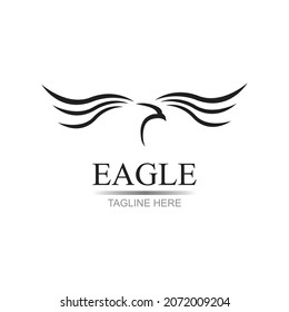 plantilla de diseño de ilustración vectorial del logotipo del águila - vector