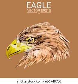 Eagle low poly design.Vector illustration.